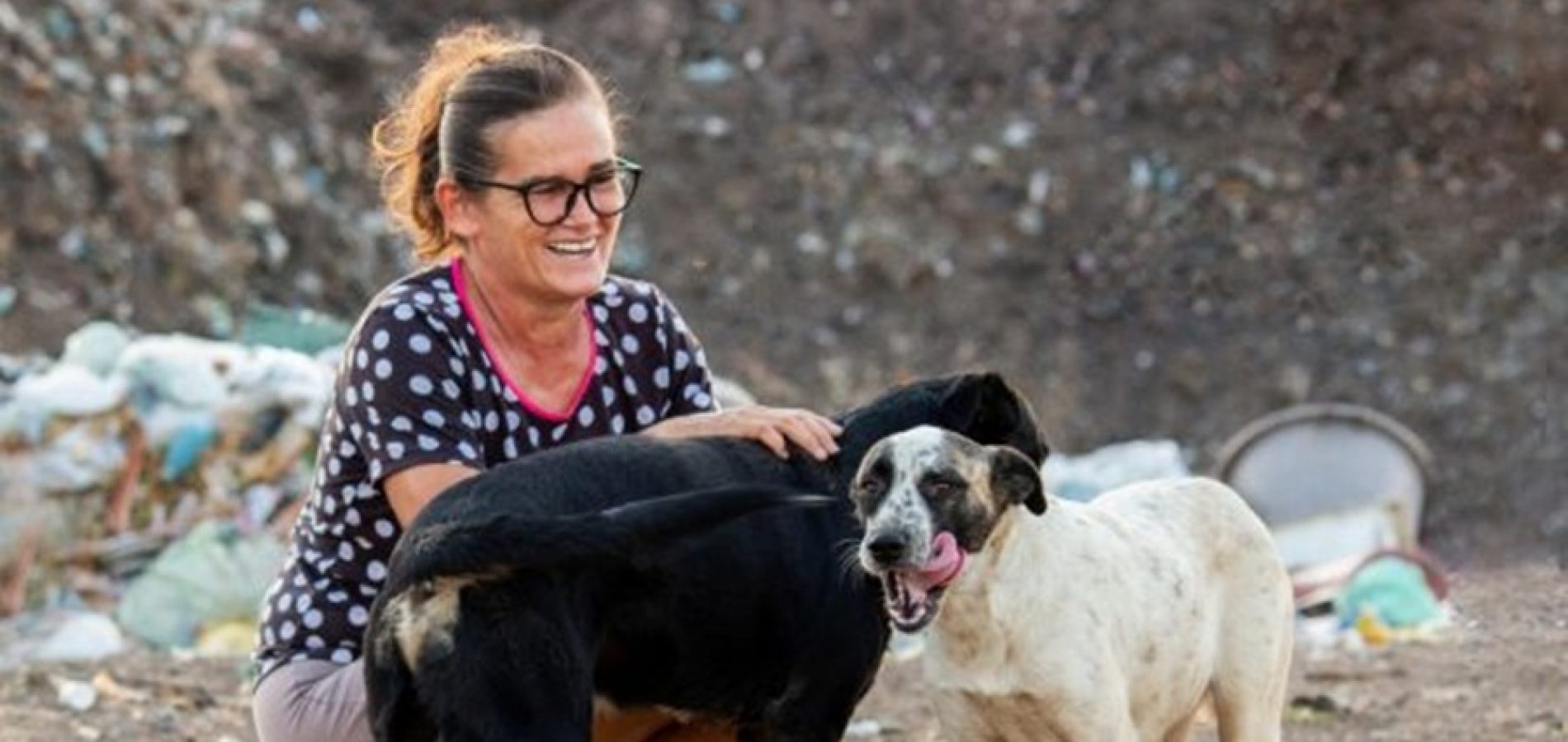 Margareth Medeiros alimenta cães e gatos todos os dias